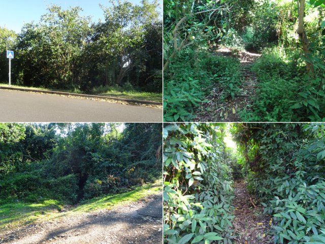 Les deux raccourcis à partir de la Rue des Grands Palmiers