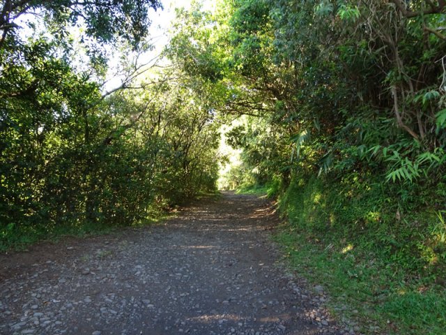 La piste, large et facile qui descend vers la rivière