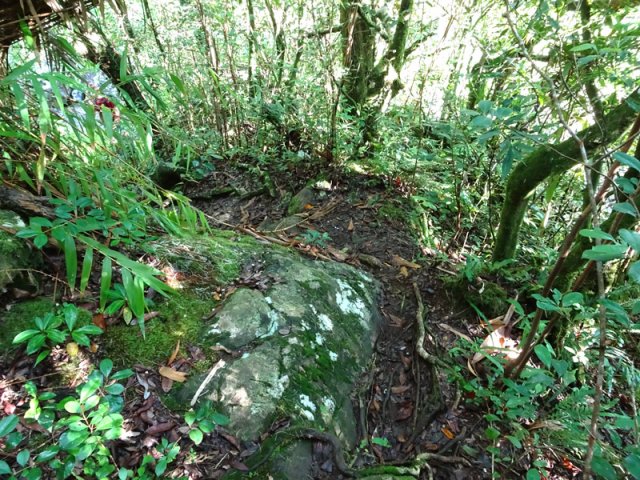 Sentier escarpé pour descendre au bassin Canne
