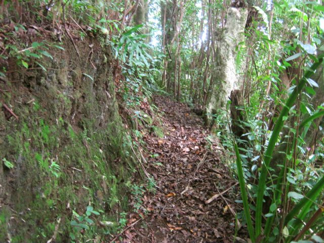 Le sentier est très facile à suivre, surtout dans ses portions plates