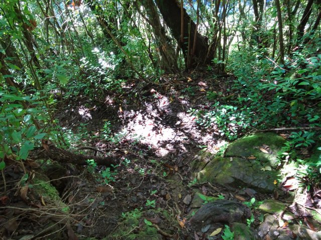 Le sentier, en forte pente, descend vers le haut du Bassin Bœuf