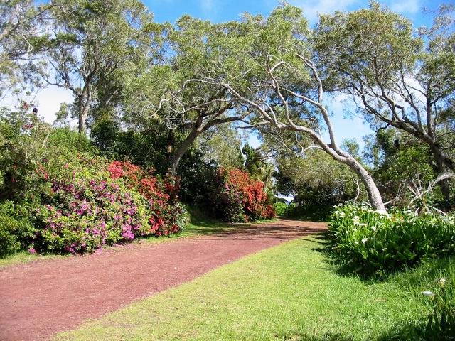 L'entrée très fleurie du Gîte de Bélouve