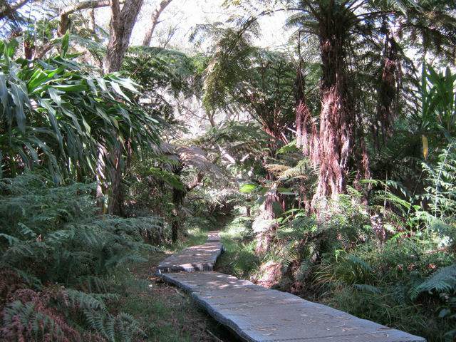 Le Sentier de l'Ecole Normale qui ramène à la route du Gîte de Bélouve