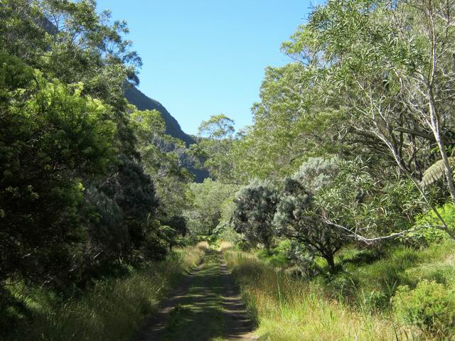 Une belle portion de piste entre les deux sentiers
