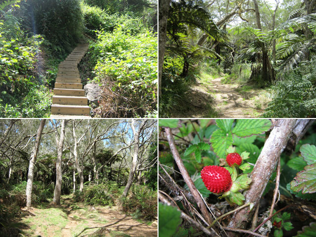 D'autres portions du début du sentier