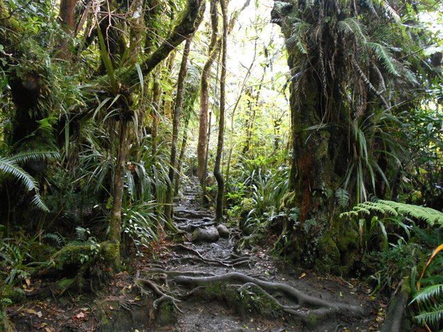 Pour une fois les racines s'avèrent très utiles