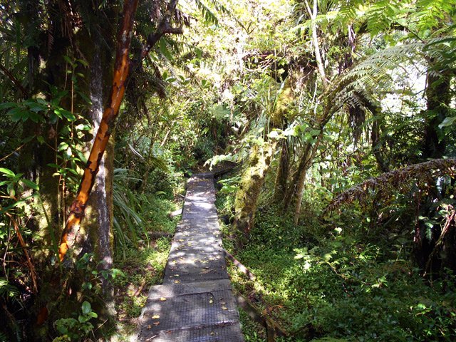 Le cheminement est ici plus agréable que sur la boue