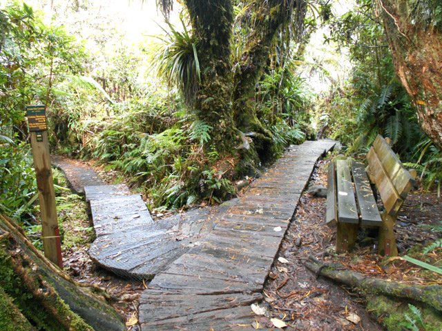 La bifurcation vers la piste cavalière : Partir à gauche