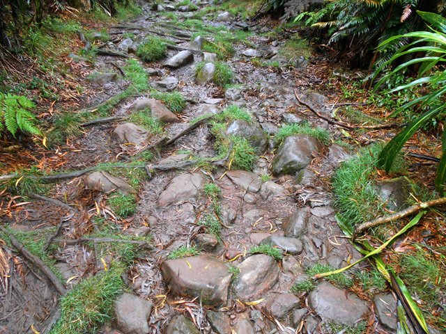 Il n'y a pas que de la boue à Bélouve !