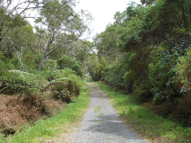 Le sentier du Trou de Fer débute sur la gauche de la piste