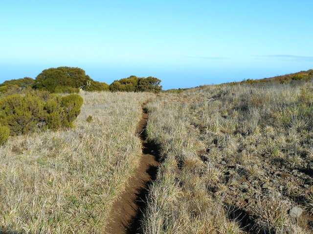 Le beau sentier qui chemine entre les lacets de la RF du Haut Tévelave