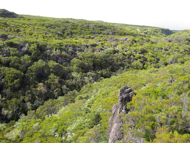 La Ravine des Avirons en montant vers le Petit Bénare