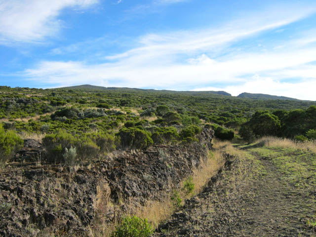 La Route Forestière du Haut Tévelave