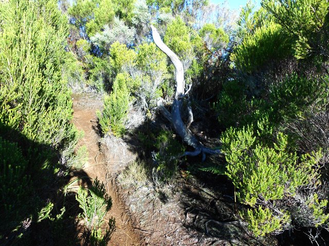 Une idée du superbe sentier