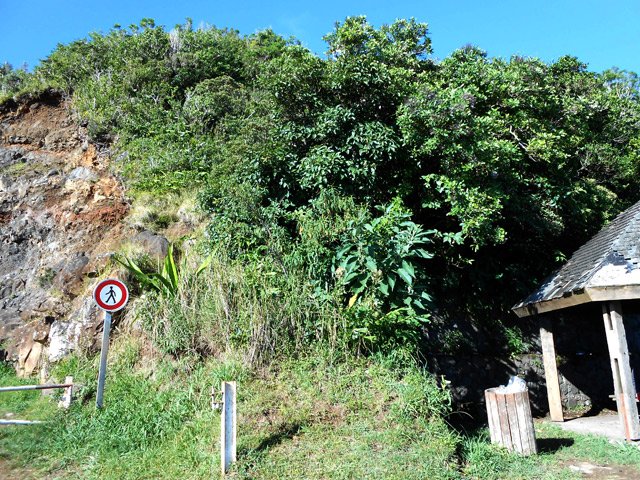 l'arrivée à la piste et au départ du sentier des Lataniers