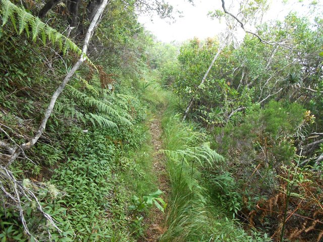 La fin du sentier à plat avant la descente vers Dos d'Ane