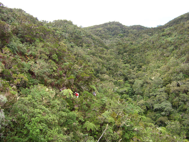 Une bonne idée de la végétation et des méandres du sentier