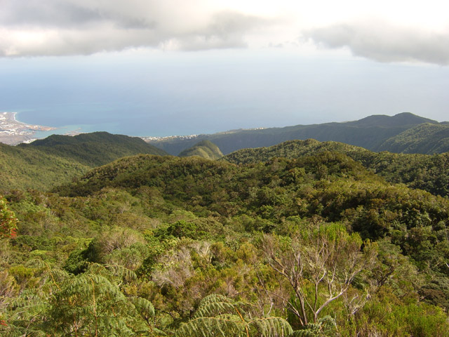Une autre vue sur le Port