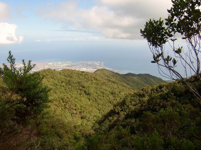 Panorama sur le Port depuis le sentier des Lataniers