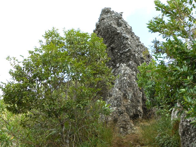 Arrivée à la Roche Verre Bouteille