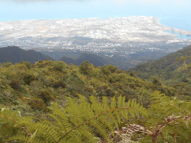 Point de vue vers le début sur sentier Joncourt