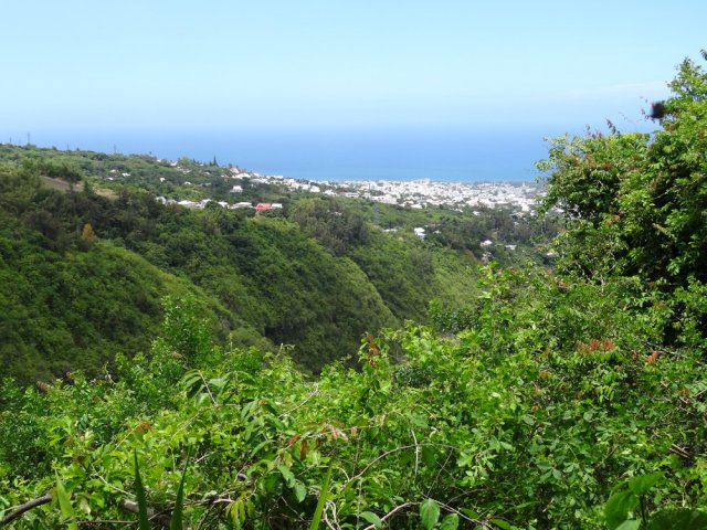 Point de vue sur la ravine vers Saint-Denis