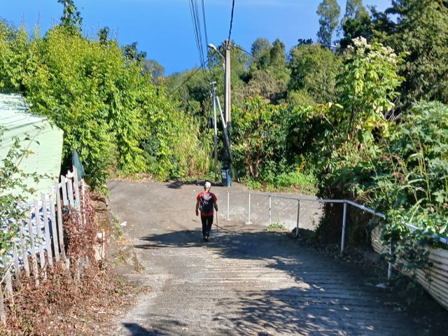 Le sentier débute au poteau dans un virage du Chemin des Goyaviers