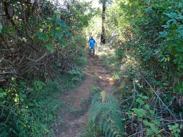 Le sentier longe quelques propriétés cachées dans la végétation