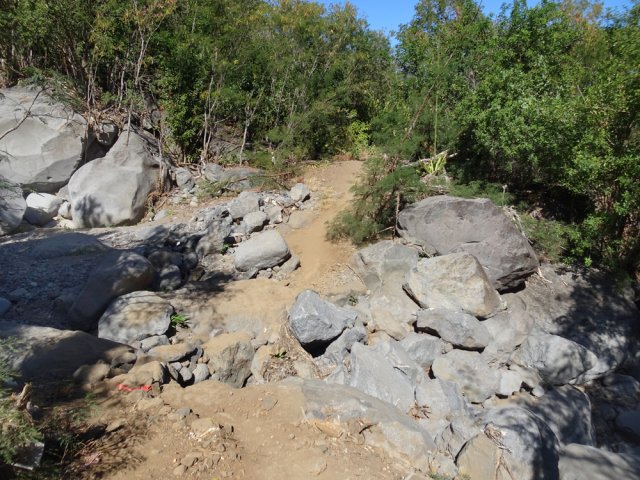 Traversée du Bras Mouton avant la passerelle