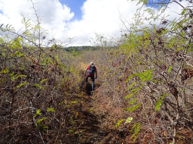 Le sentier est rarement nettoyé mais on passe sans se griffer