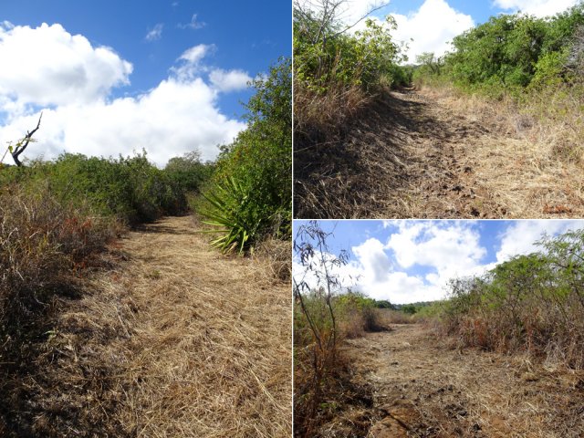 Le chemin est régulièrement nettoyé pour rejoindre la station de pompage