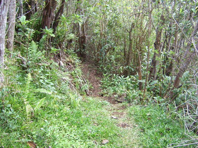 Le pente est faible au départ puis devient plus difficile