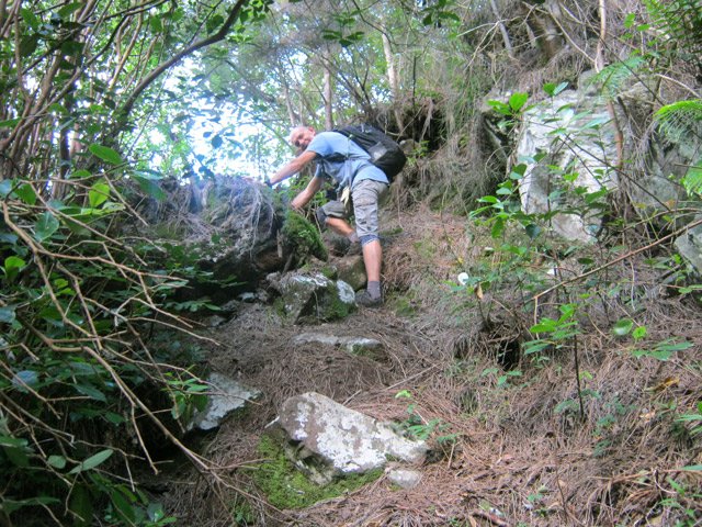 Le sentier Tarzan allant de Grand Galet à Grand Coude