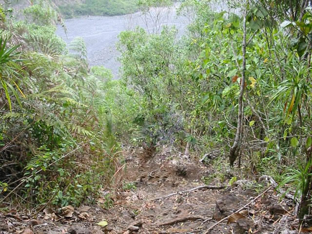 La pente est très forte avant de parvenir à l'Îlet Dimitile