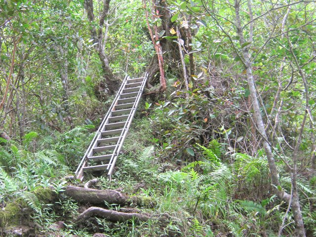 Une autre échelle un peu plus loin