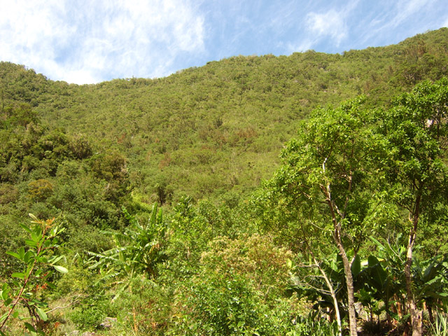 Une idée du chemin parcouru sur le Bérénice