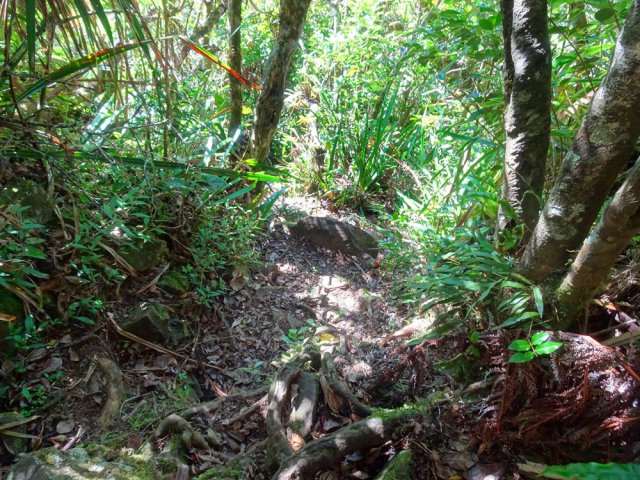 Certaines portions pentues mériteraient de nouvelles échelles