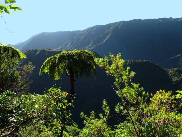 Les panoramas sont rares mais superbes