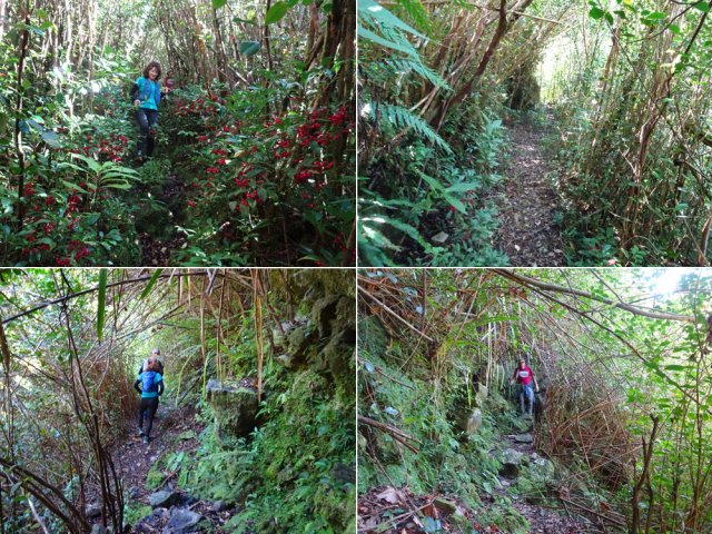 Quelques portions du sentier, techniques parfois mais impossible à perdre des yeux