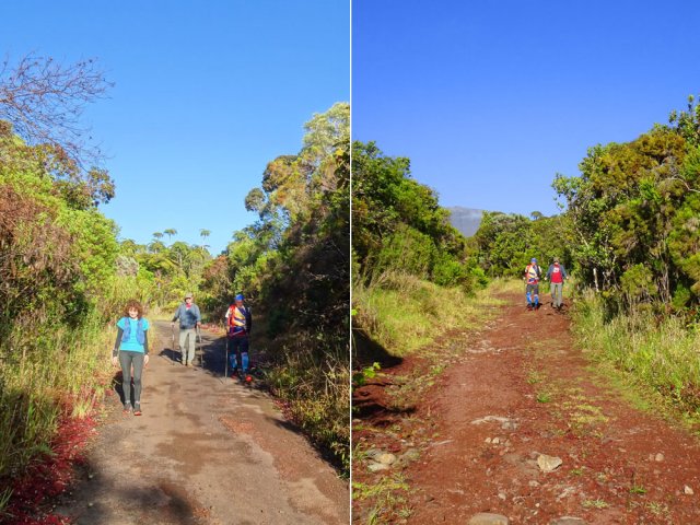 La piste, en légère descente, est goudronnée par endroits