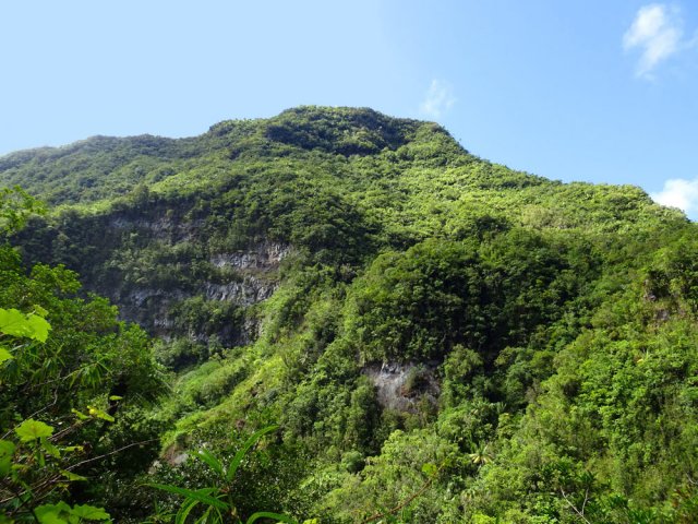 Le Plateau Duvernay domine la Rivière des Marsouins