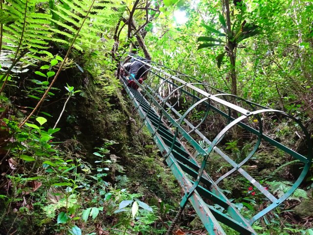 La dernière d'entre elles avant de parvenir à la rivière