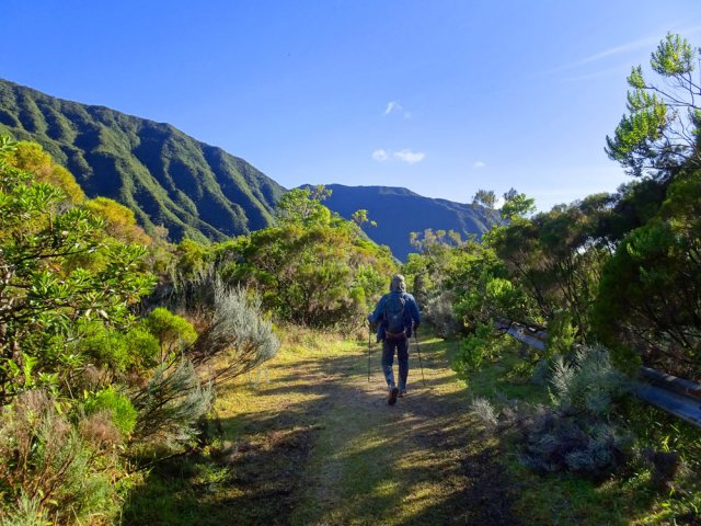 Quitter la piste pour entamer la jonction avec le Sentier de Takamaka