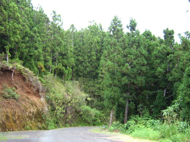 La route aux alentours de la Cascade Maniquet