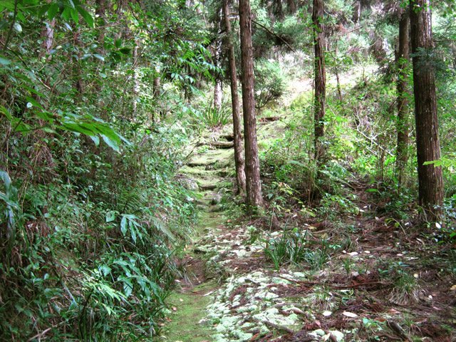 Une autre portion de ce même sentier