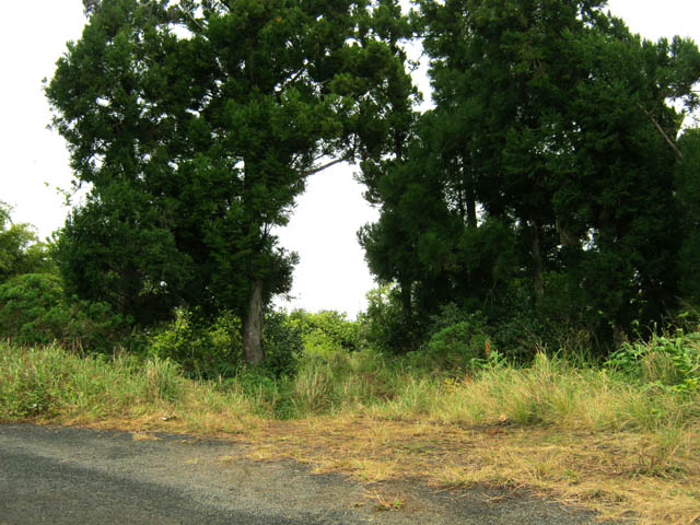 Début du sentier vers Macassis