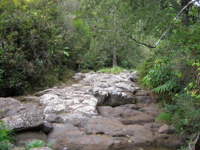 Franchissement du Grand Bras