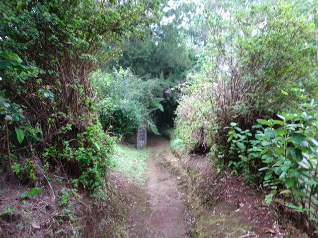 Le sentier est toujours propre à l'approche des habitations