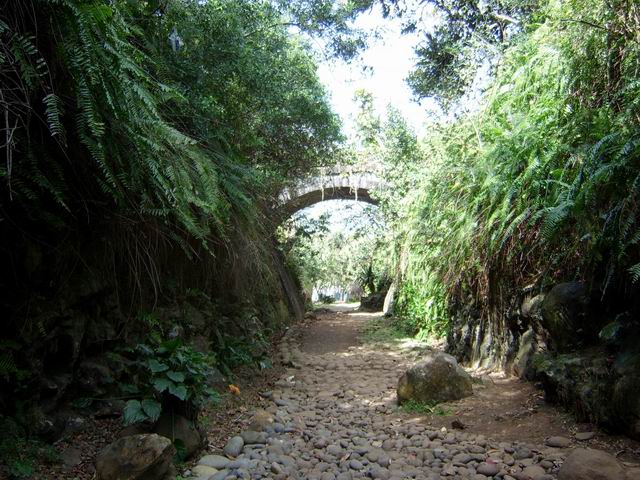 Vieux rails et galets recouvrent désormais l'ancienne ligne des chemins de fer