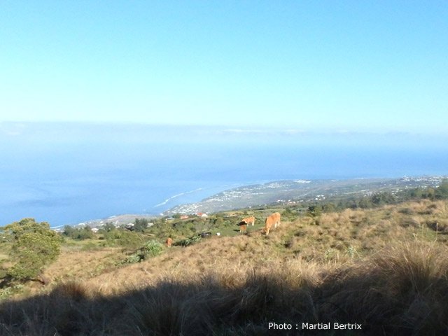 Panoramas sur le lagon de l'Ermitage depuis les prairies